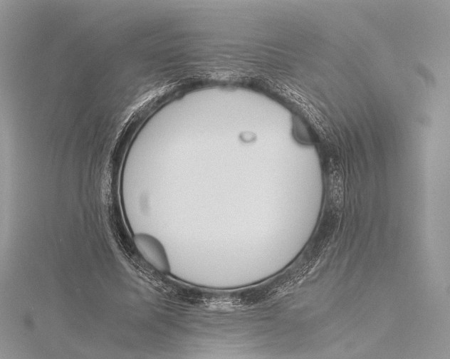 X0000115440587200912020947