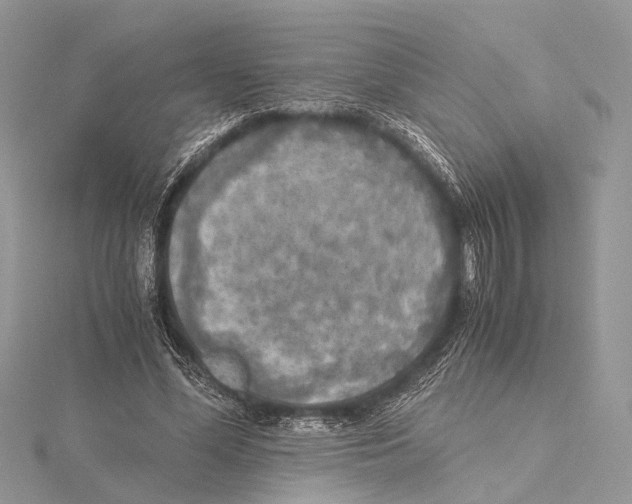 X0000115440588200912020947