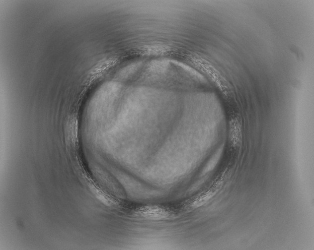 X0000115440589200912020947