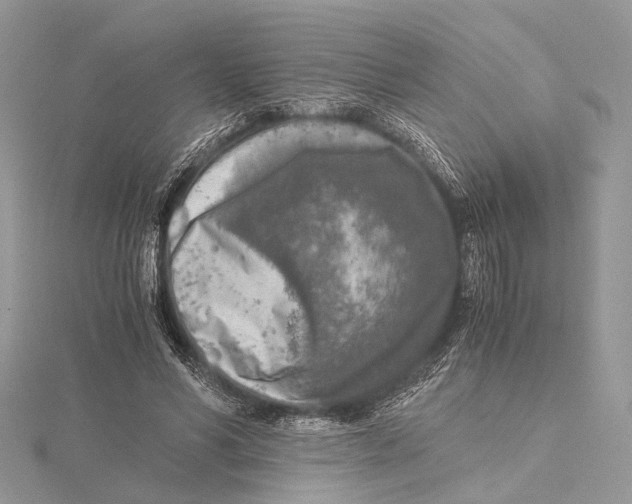 X0000115440590200912020947