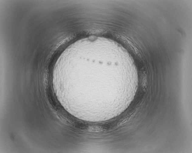 X0000115440591200912020947