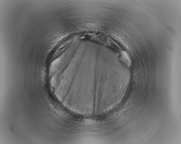 X0000115440592200912020947