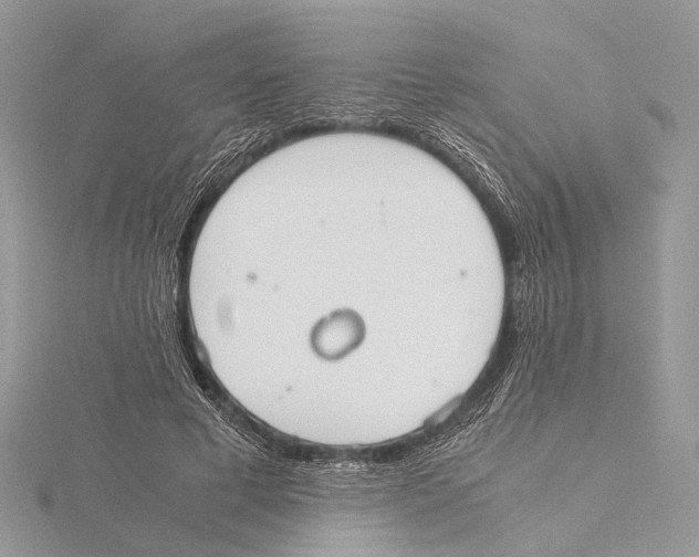 X0000115440593200912020947