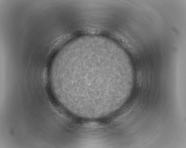 X0000115440594200912020947