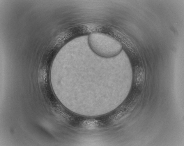 X0000115440595200912020947