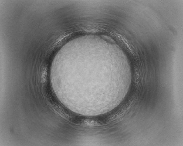 X0000115440596200912020946