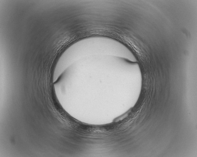 X0000115440597200912020946