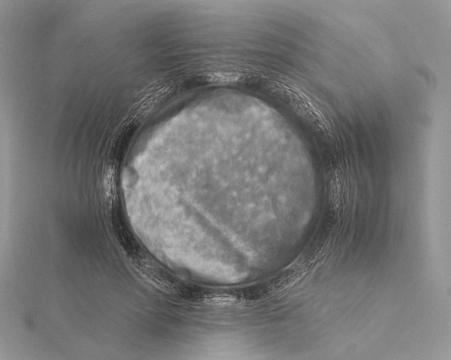 X0000115440598200912020946