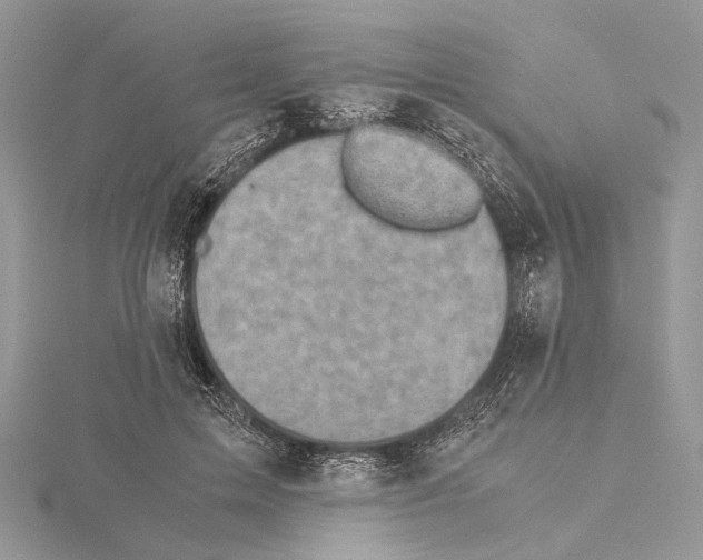 X0000115440599200912020946