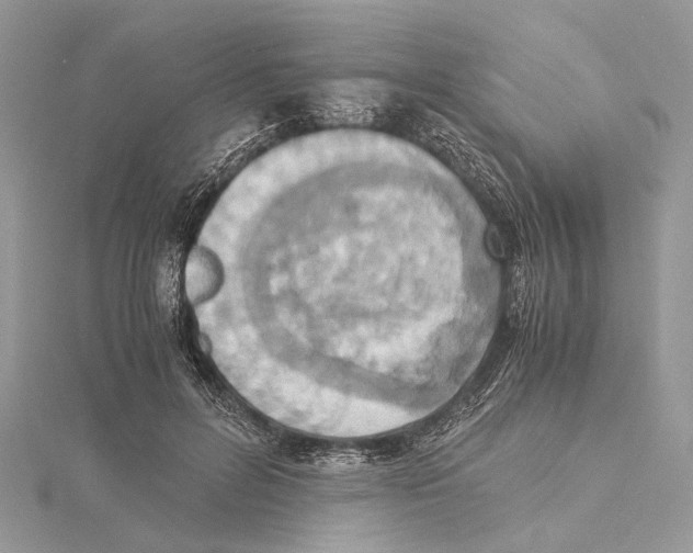 X0000115440600200912020946