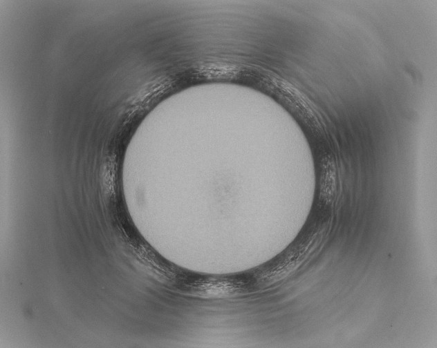 X0000115440604200912020946