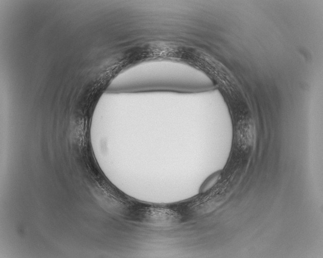 X0000115440605200912020946