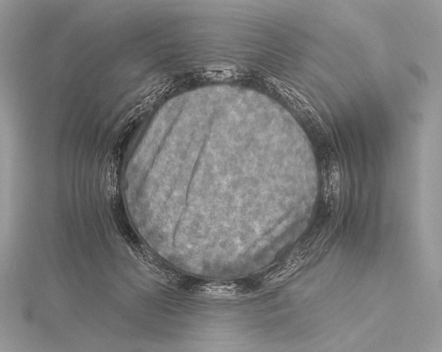 X0000115440606200912020946