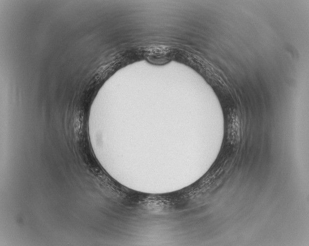 X0000115440608200912020946