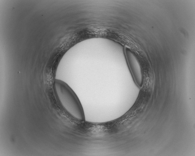 X0000115440609200912020946