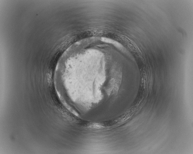 X0000115440610200912020946