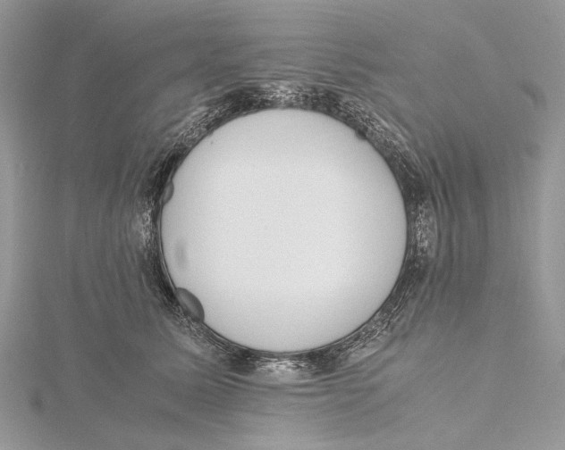 X0000115440611200912020946