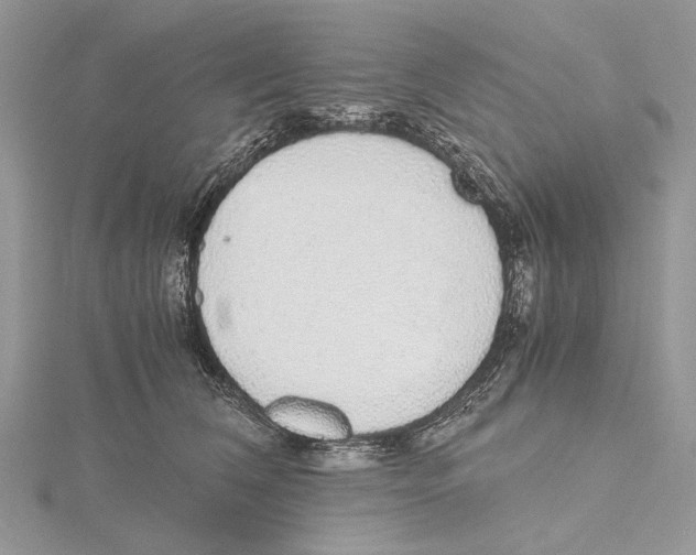 X0000115440612200912020946