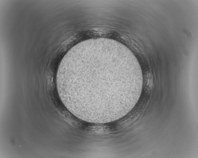 X0000115440615200912020946