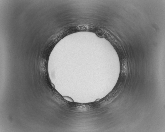 X0000115440616200912020946