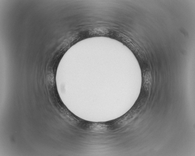 X0000115440617200912020946