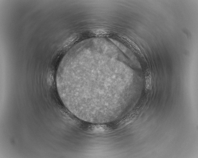 X0000115440618200912020946