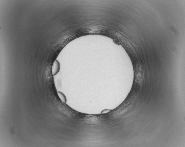 X0000115440620200912020946