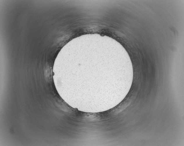 X0000115440624200912020946