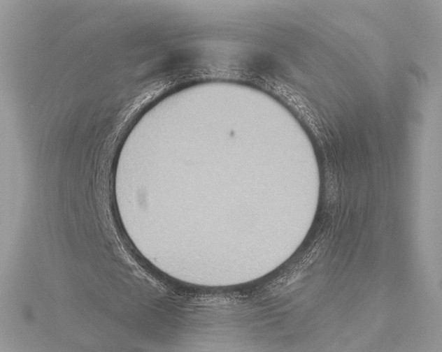 X0000115440625200912020945