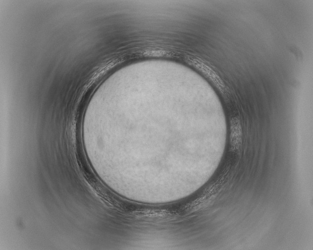 X0000115440626200912020945