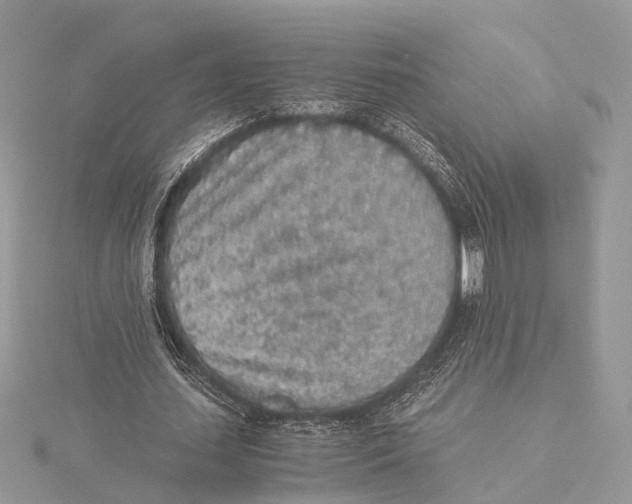 X0000115440627200912020945