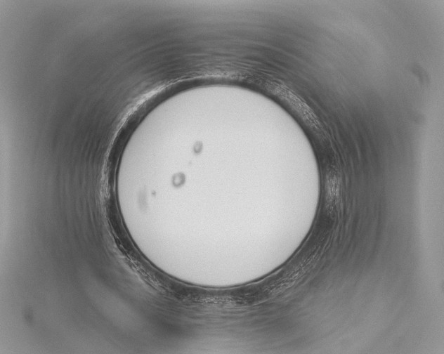 X0000115440628200912020945