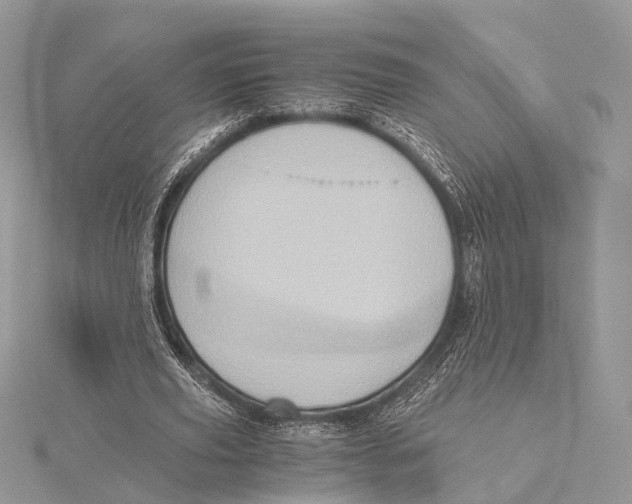 X0000115440629200912020945