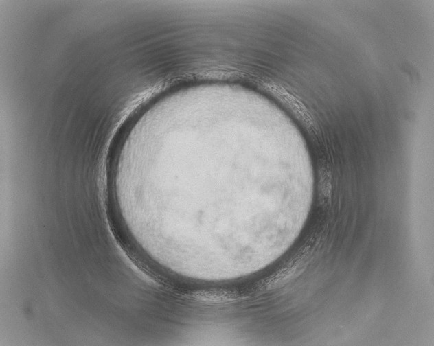 X0000115440630200912020945