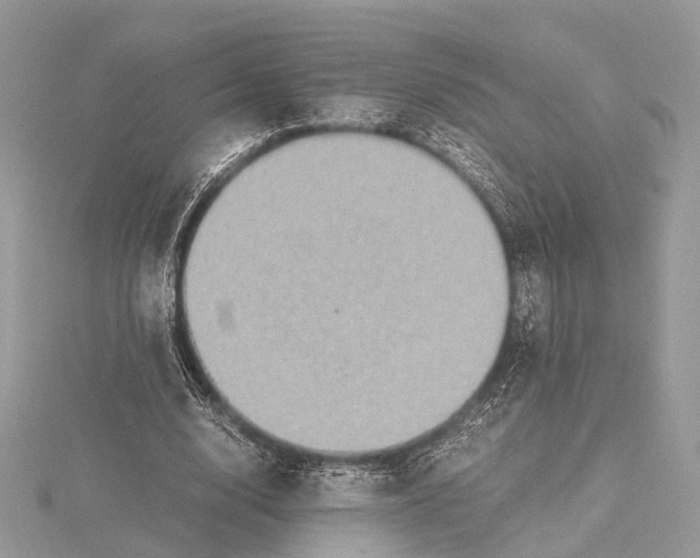 X0000115440632200912020945