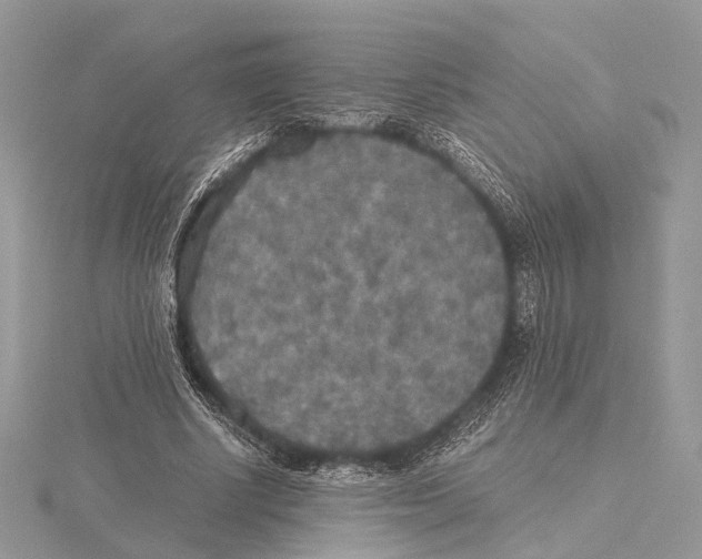 X0000115440634200912020945