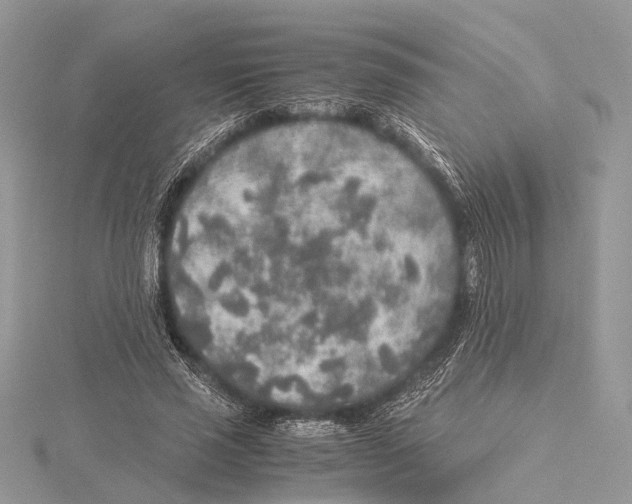 X0000115440637200912020946