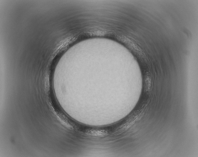 X0000115440638200912020946