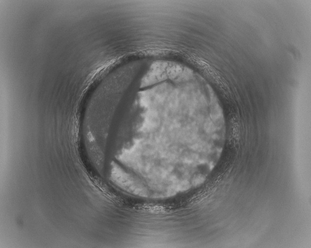 X0000115440640200912020946