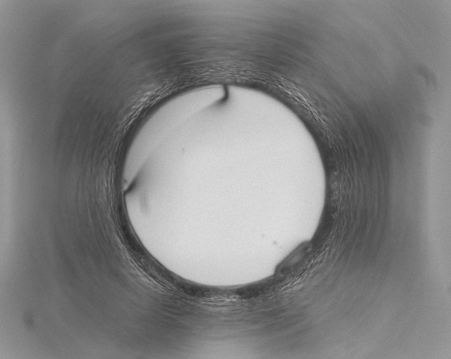 X0000115440642200912020946