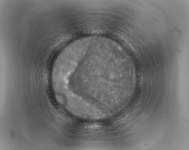 X0000115440643200912020946