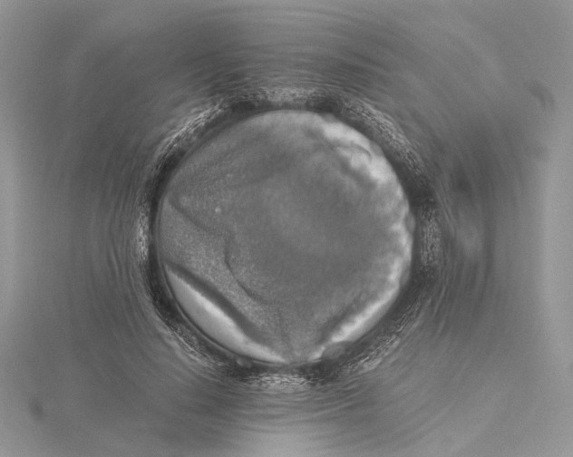 X0000115440644200912020946