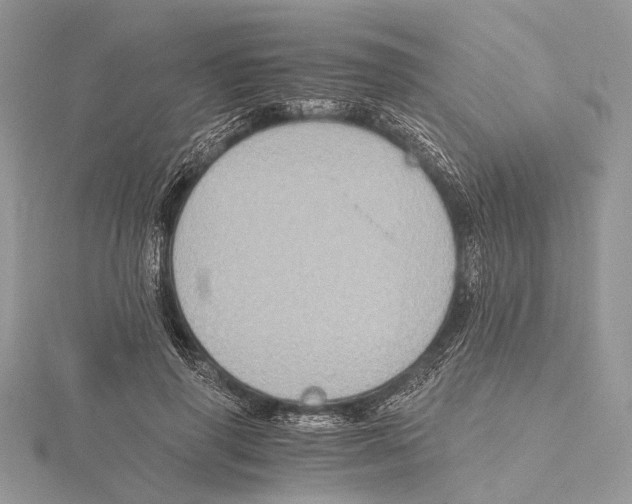 X0000115440645200912020946