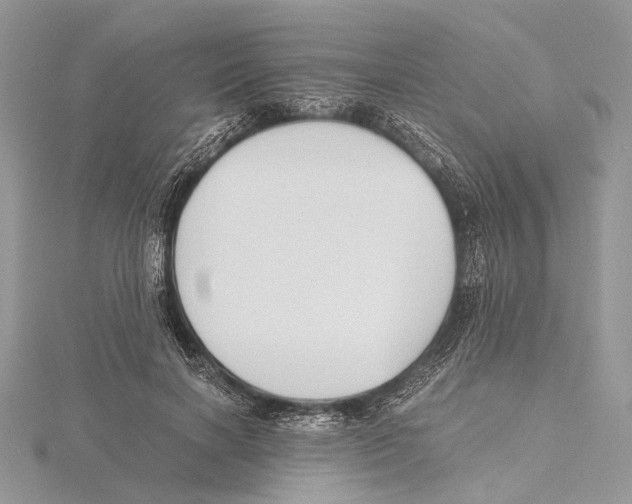 X0000115440646200912020946