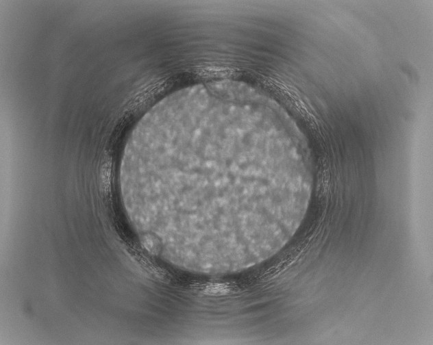 X0000115440647200912020946