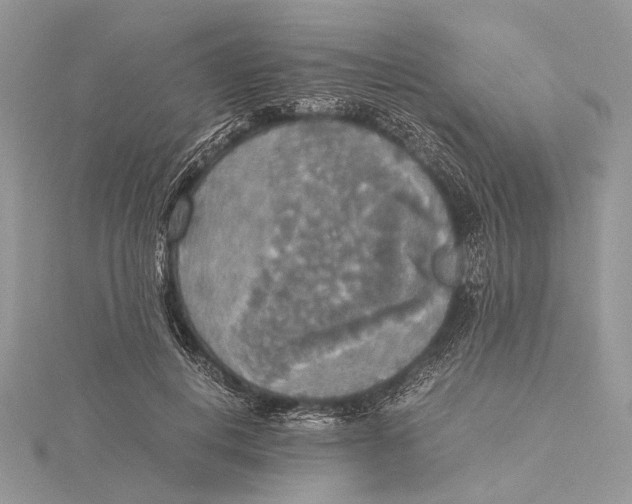 X0000115440648200912020946