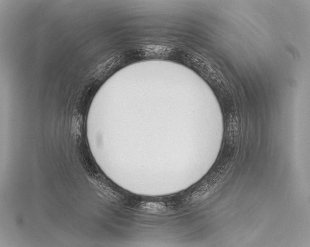 X0000115440649200912020946