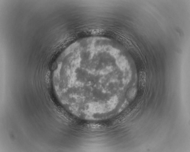 X0000115440650200912020946