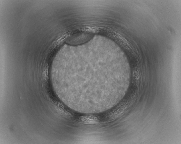 X0000115440652200912020946