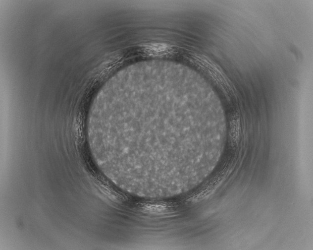 X0000115440653200912020946